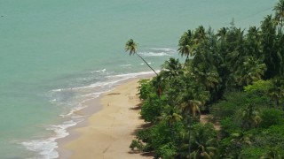 AX102_026 - 4.8K aerial stock footage of Palm trees along a beach looking at turquoise waters, Loiza, Puerto Rico 
