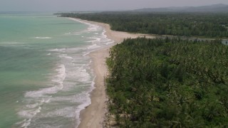 AX102_030 - 4.8K aerial stock footage of a Jungle lined beach and turquoise waters, Loiza, Puerto Rico 