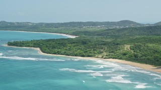 AX102_053 - 4.8K aerial stock footage of a Jungle and beach along clear blue waters, Luquillo, Puerto Rico