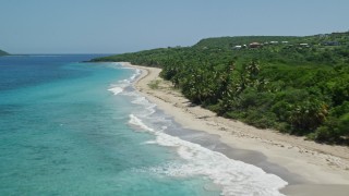AX102_130E - 4.8K aerial stock footage of palm trees and Caribbean beach along turquoise waters, Culebra, Puerto Rico