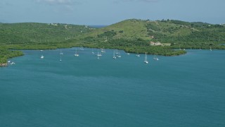 AX102_168 - 4.8K aerial stock footage of Sailboats in sapphire blue waters along a tree filled coast, Culebra, Puerto Rico