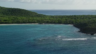 AX103_091E - 4.8K aerial stock footage of Caribbean beach and jungle beside turquoise waters, Culebrita, Puerto Rico