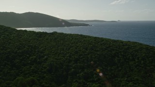 AX103_097 - 4.8K aerial stock footage Flying over jungle on an island and Caribbean blue waters, Culebra, Puerto Rico