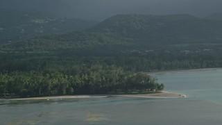 AX103_122E - 4.8K aerial stock footage of palm trees and beach along Caribbean blue waters, Luquillo, Puerto Rico