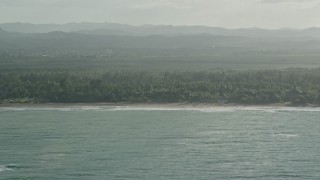 AX103_130 - 4.8K aerial stock footage of Jungle by Caribbean beach, Rio Grande, Puerto Rico