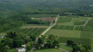 AX107_113 - 4.8K aerial stock footage orbiting orchards, East Palestine, Ohio