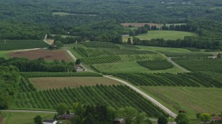 AX107_113E - 4.8K aerial stock footage orbiting orchards, East Palestine, Ohio