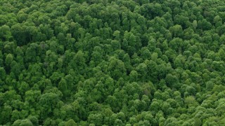 AX107_120 - 4.8K aerial stock footage flying away from forests revealing rural homes, Darlington, Pennsylvania
