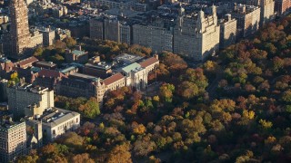 AX118_191 - 5.5K aerial stock footage orbit Museum of Natural History and Autumn leaves at sunrise in New York City