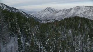 AX124_159 - 5.5K aerial stock footage of low flying over evergreen forest in the Wasatch Range at sunrise, Utah