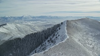 AX125_198 - 5.5K aerial stock footage of light snowdrifts on a mountain peak with frosty evergreens in winter, Oquirrh Mountains, Utah