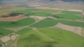 AX130_105E - 5.5K aerial stock footage of flying by large field of circular crop fields, Elberta, Utah