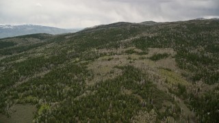 AX130_198E - 5.5K aerial stock footage video of mountain slopes, evergreen forest and aspen trees, Fishlake National Forest, Utah