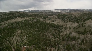 AX130_201E - 5.5K aerial stock footage of flying by evergreen forests, aspen trees on mountain slopes, Fishlake National Forest, Utah