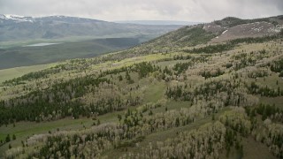 AX130_203E - 5.5K aerial stock footage fly over tree-covered mountain slopes, valley in the distance, Fishlake National Forest, Utah