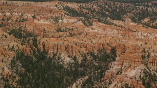 AX130_455 - 5.5K aerial stock footage of hoodoos, narrow canyon with trees, desert vegetation, Bryce Canyon National Park, Utah