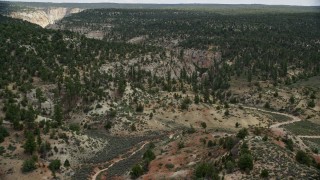AX131_043 - 5.5K aerial stock footage follow dirt road, forest, Grand Staircase-Escalante National Monument, Utah