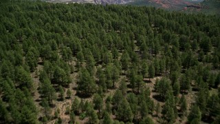 AX136_138E - 5.5K aerial stock footage of flying over Manti-LA Sal National Forest, tilt to reveal Arch Canyon, Utah