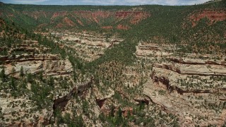 AX136_165E - 5.5K aerial stock footage of flying above trees and vegetation, pan across the top of Arch Canyon, Utah