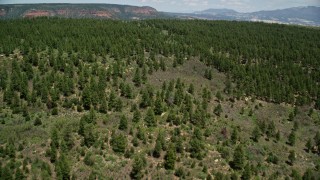 AX136_169E - 5.5K aerial stock footage of flying over a forest, revealing a canyon, Manti-La Sal National Forest, Utah