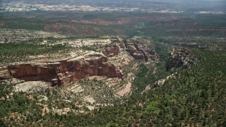 AX136_174 - 5.5K aerial stock footage of flying by box canyon with trees, Manti-La Sal National Forest, Utah