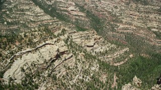 AX136_179E - 5.5K aerial stock footage of orbiting canyon cliffs and forested canyon, Manti-La Sal National Forest, Utah