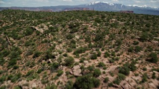 AX137_088E - 5.5K aerial stock footage fly over Dry Mesa vegetation revealing buttes and Parriott Mesa, Moab, Utah