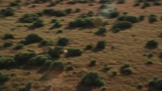 AX138_226 - 5.5K aerial stock footage of tracking lone coyote racing through desert near Moab, Utah