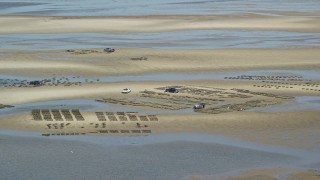Oyster Farming Aerial Stock Footage