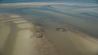 AX143_171 - 5.5K aerial stock footage flying by oyster farming on sand bars, low tide, Cape Cod, Dennis, Massachusetts