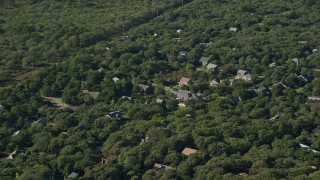 AX144_149E - 5.5K aerial stock footage of Island homes, forest, Edgartown, Martha's Vineyard, Massachusetts