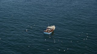 AX147_114 - 6K aerial stock footage orbiting a fishing boat with birds, Rockport, Massachusetts