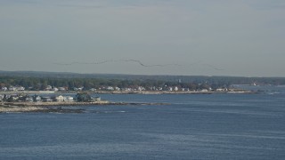 AX147_163 - 6k aerial stock footage tracking a flock of birds above a coastal town, autumn, Rye, New Hampshire