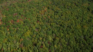 AX147_228 - 6k stock footage aerial video of a bird's eye view of a colorful, dense forest in autumn, Kittery, Maine