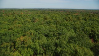 AX147_289 - 6k stock footage aerial video flying over colorful forest, approaching rural homes, autumn, Biddeford, Maine