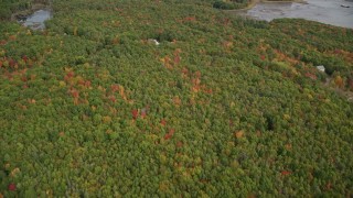 AX147_416 - 6K aerial stock footage of a bird's eye view over colorful forest, rural homes, autumn, Woolwich, Maine