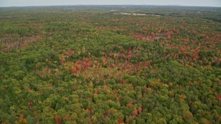 AX147_418 - 6K aerial stock footage flying over dense, colorful forest, autumn, Woolwich, Maine
