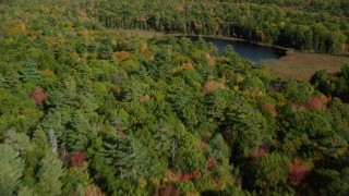 AX148_019 - 6k aerial stock footage flying over a colorful forest and Lower Pond, autumn, Damariscotta, Maine