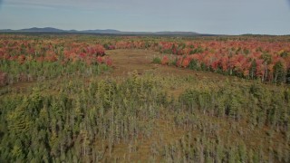 AX148_040 - 6K aerial stock footage flying over a colorful forest, small river, autumn, Cushing, Maine