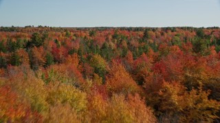 AX148_041E - 6K aerial stock footage approaching a colorful forest landscape, autumn, Cushing, Maine