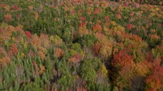AX148_046E - 6K aerial stock footage flying over a colorful forest, reveal marsh, pond, autumn, Cushing, Maine
