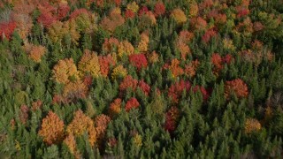 AX148_048 - 6K aerial stock footage of a bird's eye view flying over colorful forest, autumn, Cushing, Maine