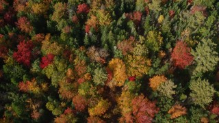AX148_058E - 6K aerial stock footage of a bird's eye view flying over a colorful forest, autumn, Cushing, Maine