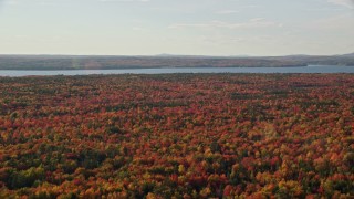 AX149_001 - 5.5K aerial stock footage flying over color fall foliage toward the bay, Trenton, Maine