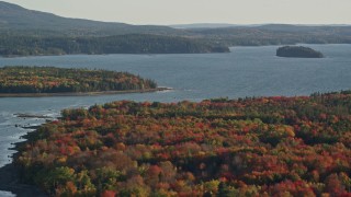 AX149_002 - 5.5K aerial stock footage flying away from the bay and over forest with fall foliage, Trenton, Maine