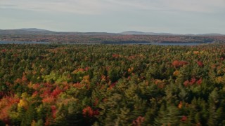 AX149_003 - 5.5K aerial stock footage flying over forest with evergreen trees and fall foliage, Trenton, Maine