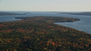 AX149_009E - 5.5K aerial stock footage flying high above forest with colorful fall foliage along water, Surry, Maine