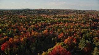 AX149_035E - 5.5K aerial stock footage flying over forest with colorful fall foliage, Blue Hill, Maine