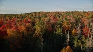 AX149_042E - 5.5K aerial stock footage flying over clearing and forest with colorful trees, autumn, Blue Hill, Maine