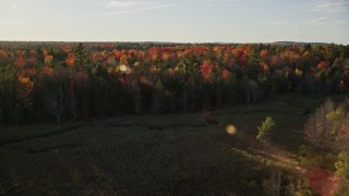 AX149_046E - 5.5K aerial stock footage flying over a forest with colorful trees and a clearing, autumn, Blue Hill, Maine